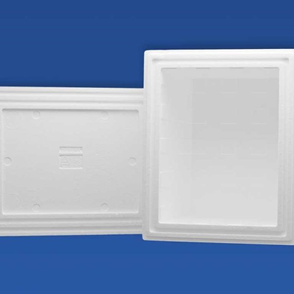 Caixa Térmica para Laboratório e Vacinas em EPS - (Isopor) - Isofort
