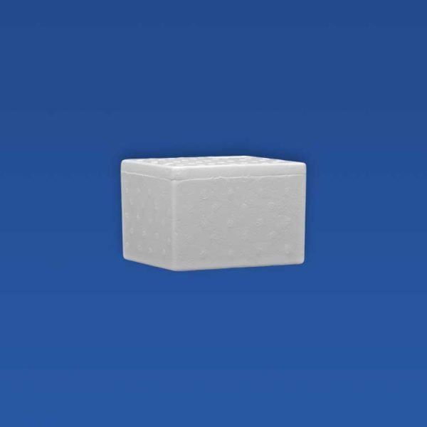 Caixa Térmica para Laboratório e Vacinas em EPS - (Isopor) - Isofort - Imagem 10