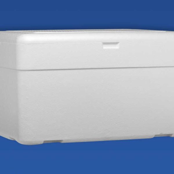 Caixa Térmica para Laboratório e Vacinas em EPS - (Isopor) - Isofort - Imagem 3