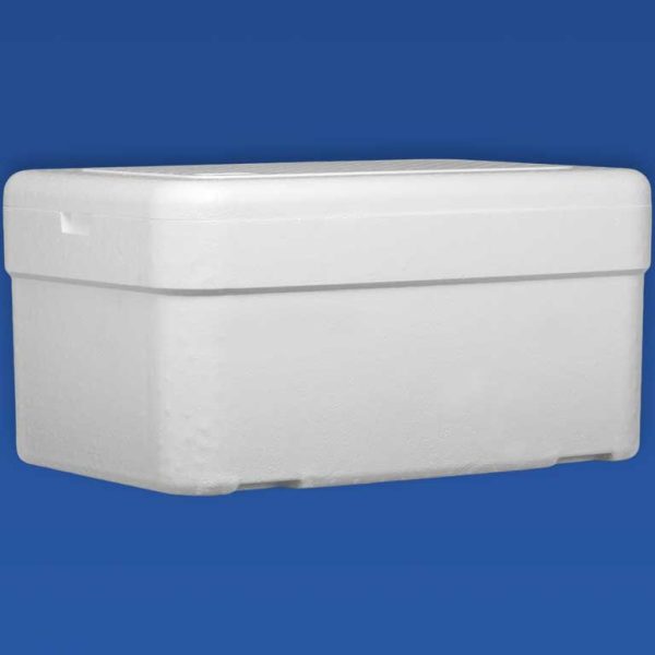 Caixa Térmica para Laboratório e Vacinas em EPS - (Isopor) - Isofort - Imagem 5
