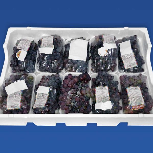 Agrobox - Caixa de Frutas em EPS - (Isopor) - Isofort - Imagem 8