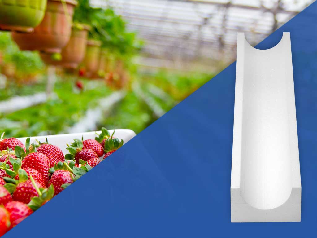 canaleta-morango-montagem Canaletas para Morango em EPS - (Isopor) - Isofort - Imagem 1